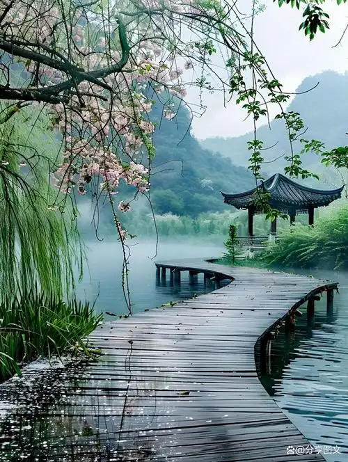 照片3